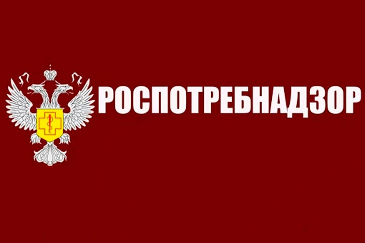 Акция «День открытых дверей для предпринимателей».