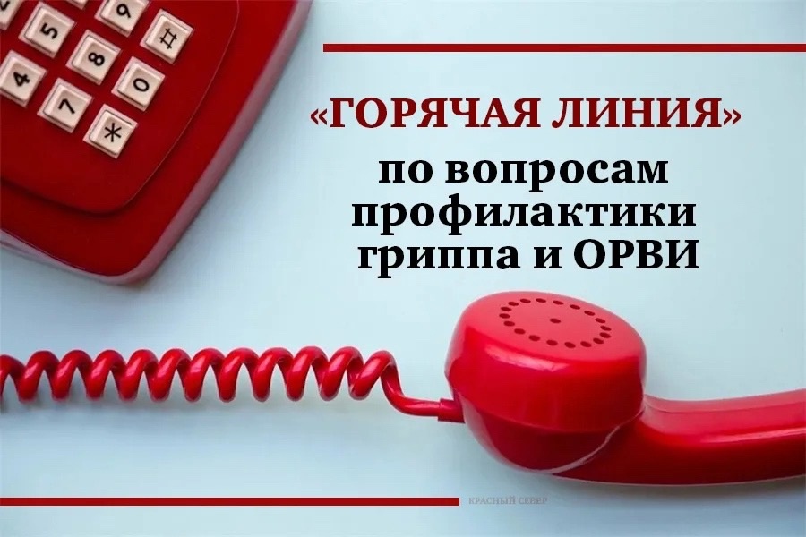 В Управлении Роспотребнадзора по Воронежской области открыта «горячая линия» по профилактике гриппа и ОРВИ.