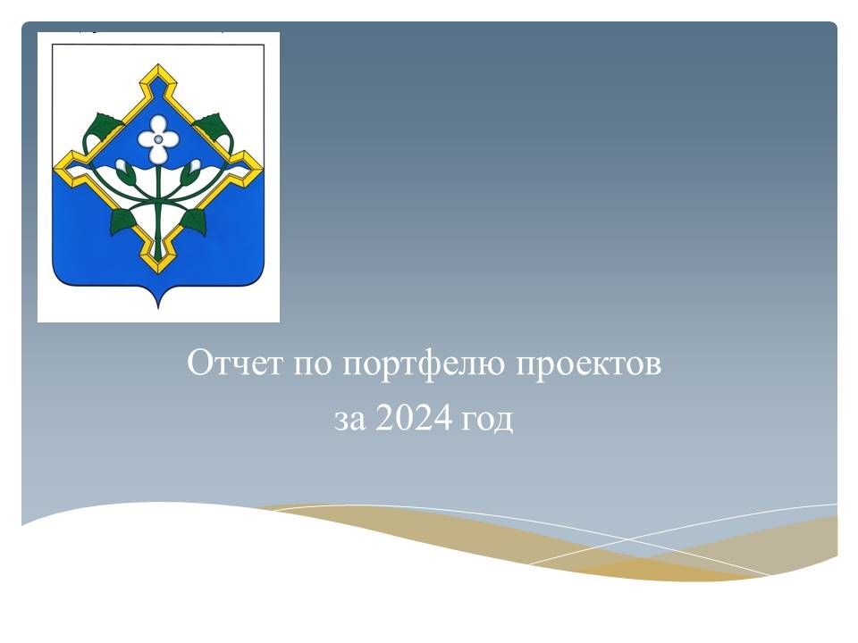 Отчет по портфелю проектов за 2024 год.