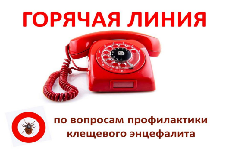 Об открытии в Управлении Роспотребнадзора по Воронежской области «горячей линии» по профилактике клещевого вирусного энцефалита и инфекций, передающихся клещами.. Об открытии в Управлении Роспотребнадзора по Воронежской области «горячей линии» по профилактике клещевого вирусного энцефалита и инфекций, передающихся клещами..