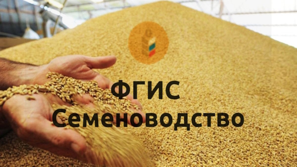 С 1 сентября работа во ФГИС «Семеноводство» становится обязательной. С 1 сентября работа во ФГИС «Семеноводство» становится обязательной.